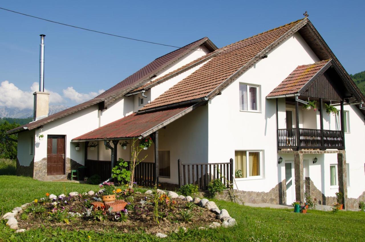 Casa Elena Hostal Bran  Exterior foto